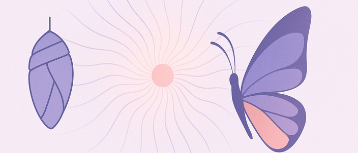 Capa da publicação A Metamorfose: Kafka ensina sobre direitos humanos