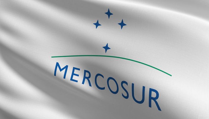 Capa da publicação Cúpula de Presidentes do Mercosul: temas discutidos