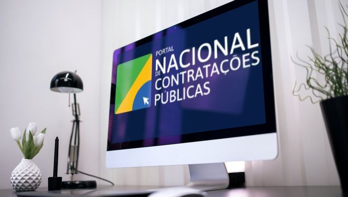 Capa da publicação O portal nacional de contratações públicas