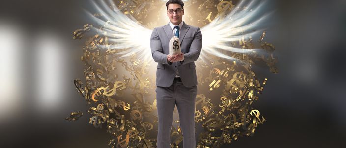 Capa da publicação Marco legal das startups e o investidor anjo
