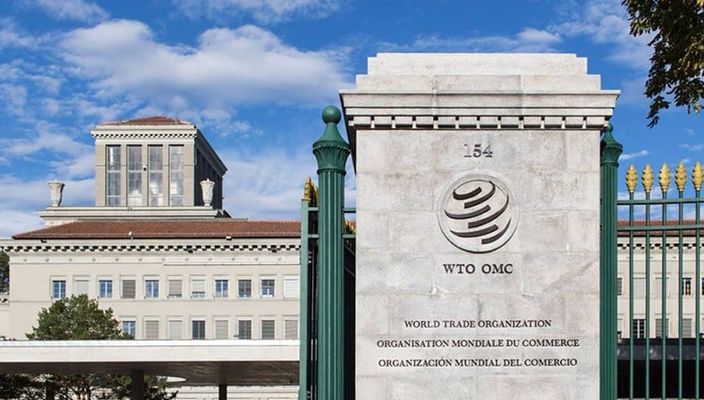 Capa da publicação OMC e sua importância nas relações do comércio internacional