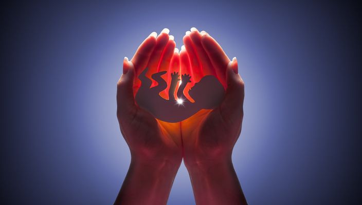 Capa da publicação Aborto: causas, consequências e alternativas