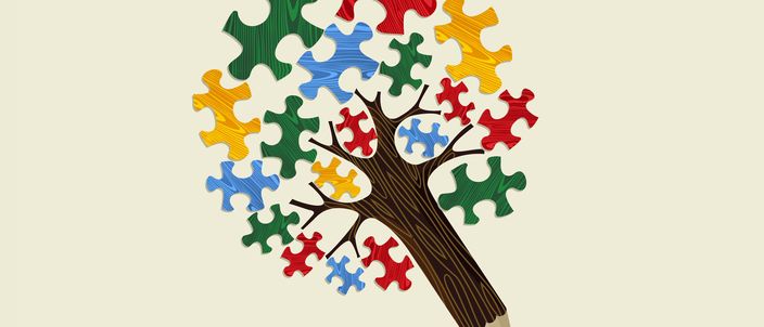 Capa da publicação 