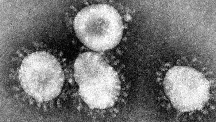 Capa da publicação Coronavírus: aplicação do Código Penal em meio à pandemia no Brasil