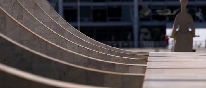 Capa da publicação Precedentes vinculantes: impactos na gestão