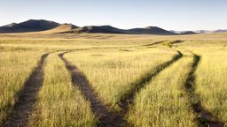 Imagem de capa do artigo Dualismo e monismo: teorias acerca da aplicação do Direito Internacional em face do direito interno estatal