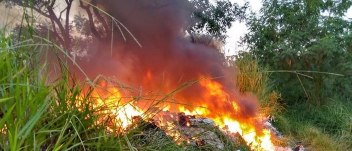 Capa da publicação Pecuária, fogo e sustentabilidade no Pantanal