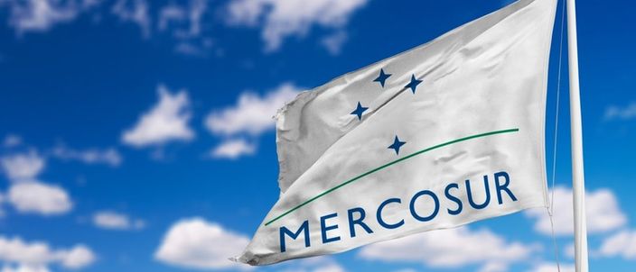 Capa da publicação Livre concorrência no Mercosul: os desafios intrarregionais