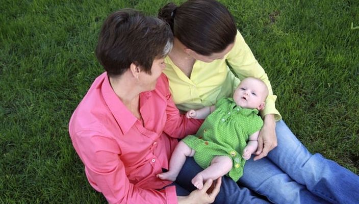Capa da publicação Salário maternidade para a mãe não gestante de casal homoafetivo