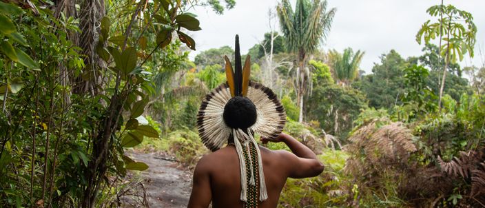 Capa da publicação Direitos dos povos indígenas na educação
