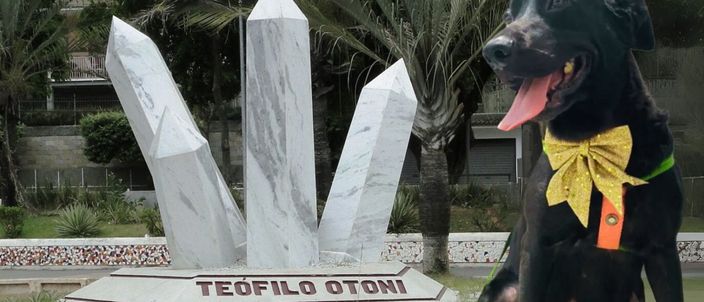 Capa da publicação Teófilo Otoni: brilho das pedras e sombras do abandono