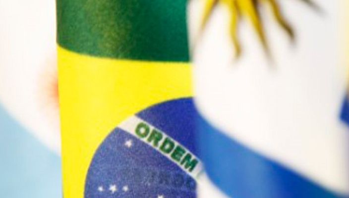 Capa da publicação Brasil, Mercosul, novas placas, velhos problemas
