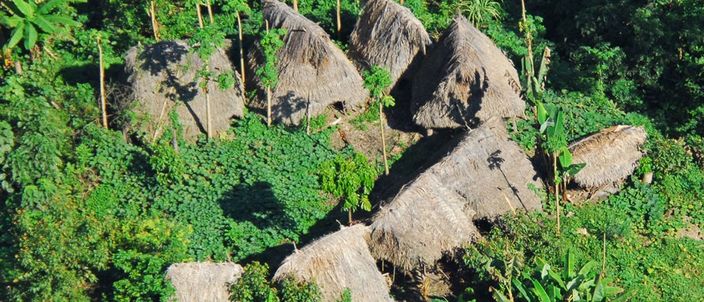 Capa da publicação Demarcação das terras indígenas e seu impacto na preservação ambiental