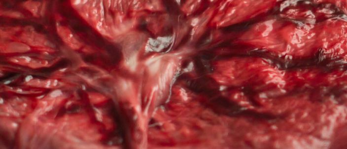 Capa da publicação Direito sobre a placenta: escolha da mulher