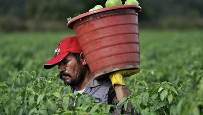 Capa da publicação Prova de trabalho rural no período anterior ao requerimento de benefício: exigência injusta