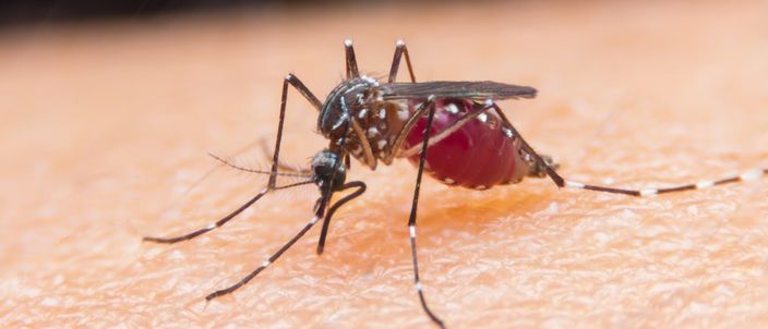 Capa da publicação Combate à malária na região Norte: desafios na perspectiva do Estado do Acre