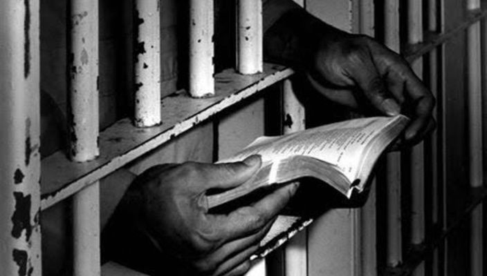 Capa da publicação Sistema penitenciário: privatização como possível solução para a atual crise carcerária brasileira