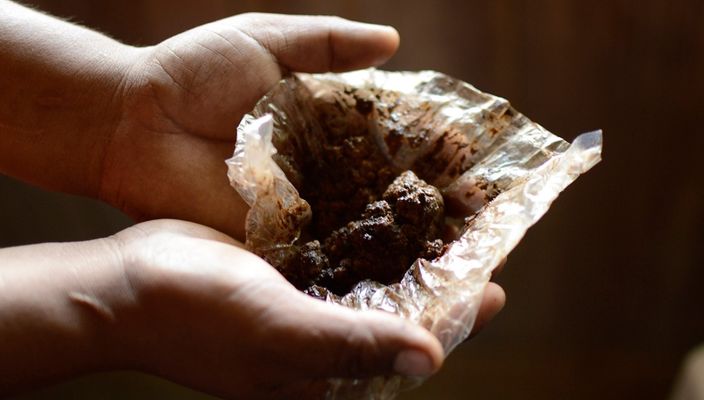 Capa da publicação Evolução da legislação brasileira sobre drogas