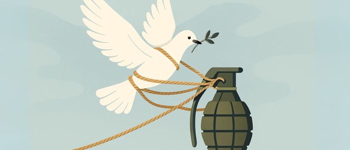 Capa da publicação ONGs na guerra: ameaça ao Estado de Direito?