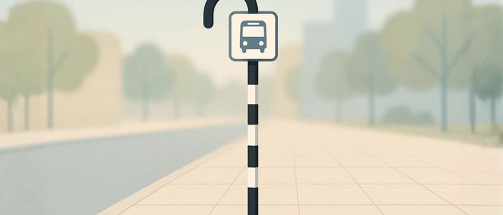 Capa da publicação Gratuidade no transporte e dignidade do idoso no Brasil