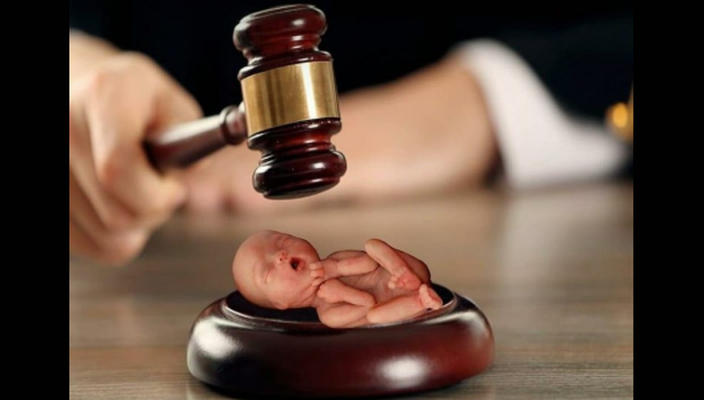 Capa da publicação Descriminalização do aborto até a 12ª semana: uma leitura conservadora dos direitos fundamentais e da ADPF 442