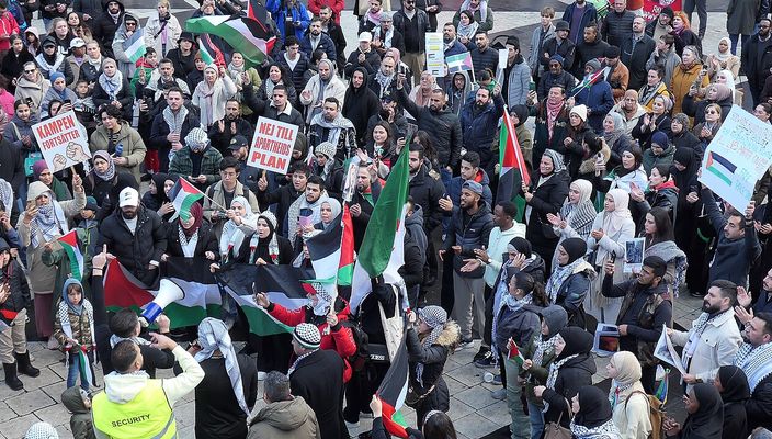 Capa da publicação Conflito Israel-Palestina: direitos humanos sob ataque