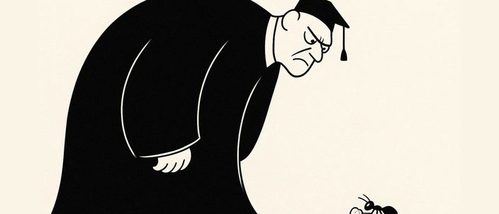 Capa da publicação Princípio da insignificância: limites e controvérsias