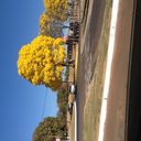 Imagem de perfil de Hebert Mendes de Araújo Schütz