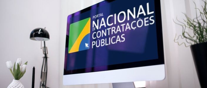 Capa da publicação O portal nacional de contratações públicas