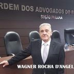 Wagner Rocha D'Angelis