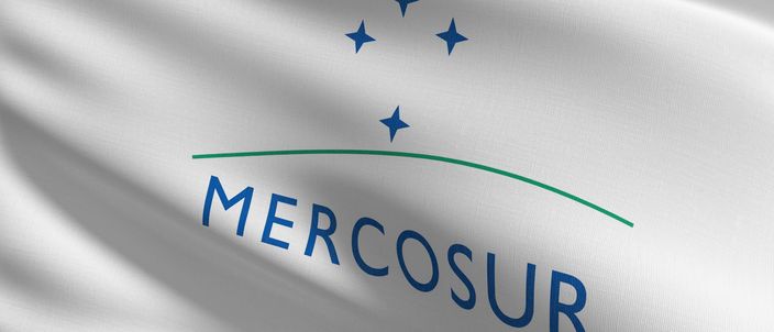 Capa da publicação Cúpula de Presidentes do Mercosul: temas discutidos