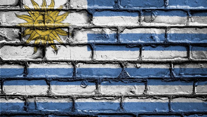 Capa da publicação O novo Código de Processo Penal do Uruguai. Enquanto isso, no Brasil...