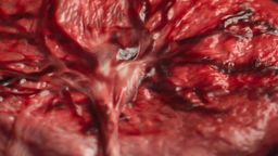 Imagem de capa do artigo O direito sobre a placenta