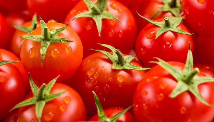 Capa da publicação O caso dos tomates e a boa-fé objetiva pré-contratual