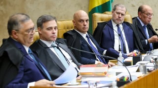 Imagem de capa da categoria Pet 16.662
