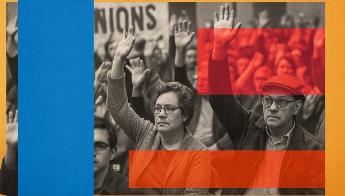 Capa da publicação Judiciário e estabilidade sindical: limites e riscos