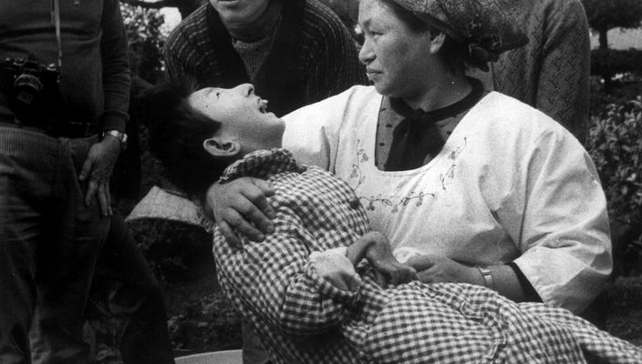 Capa da publicação Doença de Minamata: Japão, 1954