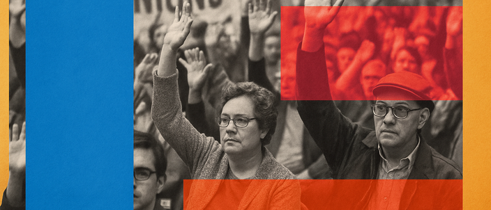 Capa da publicação Judiciário e estabilidade sindical: limites e riscos