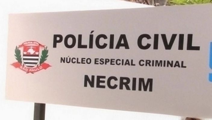 Capa da publicação O delegado de polícia como pacificador social: o Núcleo Especial Criminal (NECRIM) em Bauru