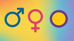 Imagem de capa do artigo O direito do intersexual à identidade de gênero e ao registro civil de nascimento