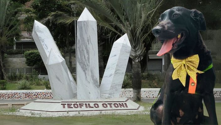 Capa da publicação Teófilo Otoni: brilho das pedras e sombras do abandono