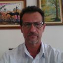 Imagem de perfil de José Luciano Paulini