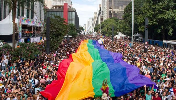 Capa da publicação A atuação do Grupo Arco-íris de Conscientização Homossexual como amicus curiae na ADPF 132