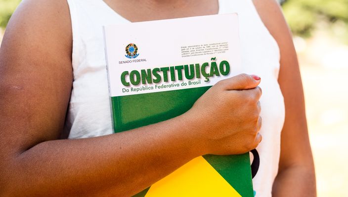 Capa da publicação Fundamentos teóricos e filosóficos do novo Direito Constitucional brasileiro