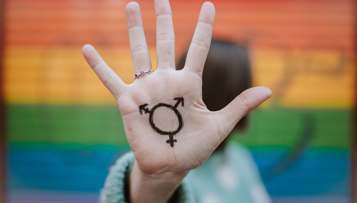 Capa da publicação O direito do intersexual à identidade de gênero e ao registro civil