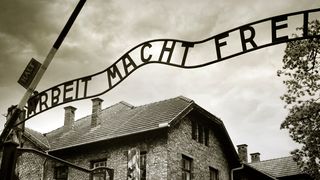 Imagem de capa da categoria Holocausto