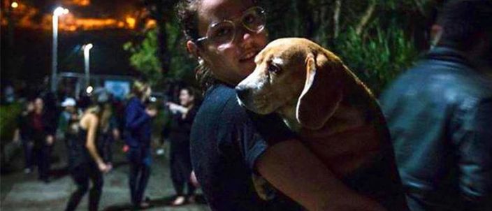 Capa da publicação A senciência de cães e gatos: uma bem-vinda inovação jurídica que pode ser apenas o começo