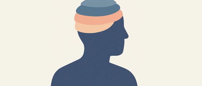 Capa da publicação Estatuto da Pessoa com Deficiência e incapacidade