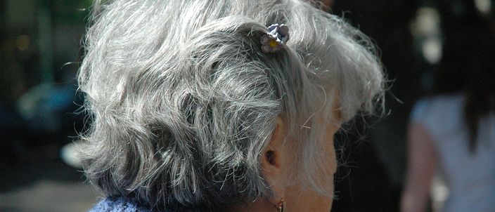 Capa da publicação Reflexos da alteração do gênero no enquadramento da aposentadoria