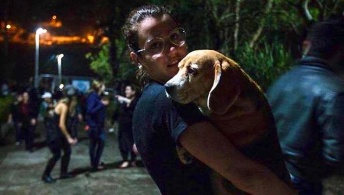 Capa da publicação A senciência de cães e gatos: uma bem-vinda inovação jurídica que pode ser apenas o começo
